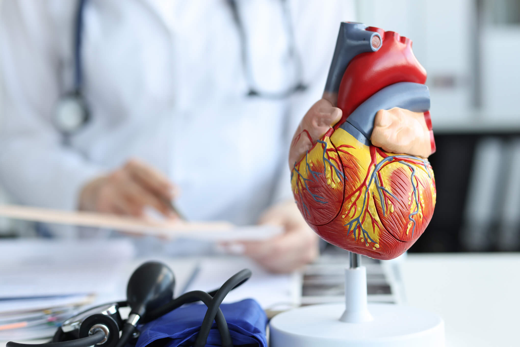 heart doctor