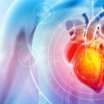 Close up of the heart to represent heart disease